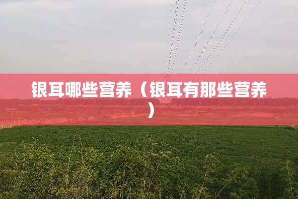 银耳哪些营养（银耳有那些营养）