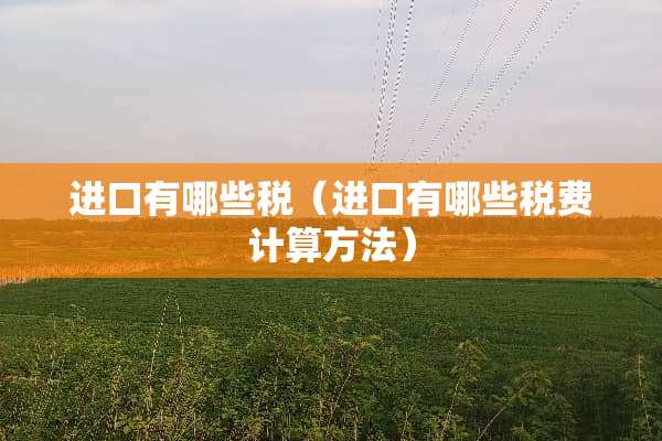 进口有哪些税（进口有哪些税费计算方法）