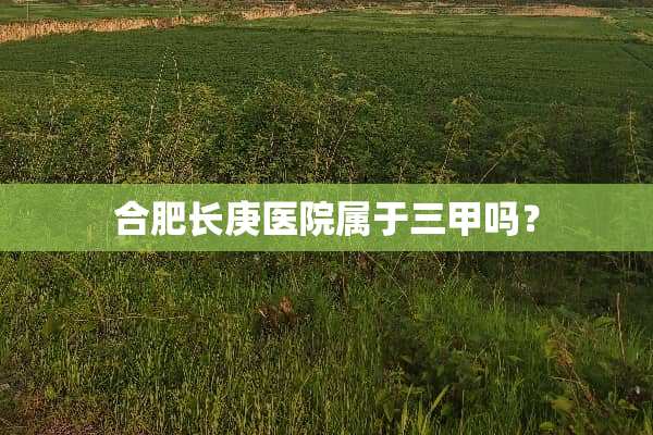 合肥长庚医院属于三甲吗？