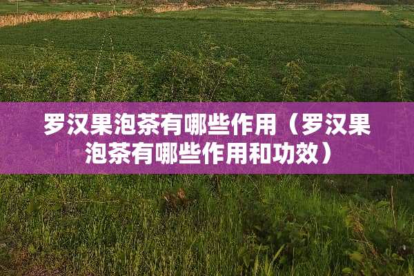 罗汉果泡茶有哪些作用（罗汉果泡茶有哪些作用和功效）