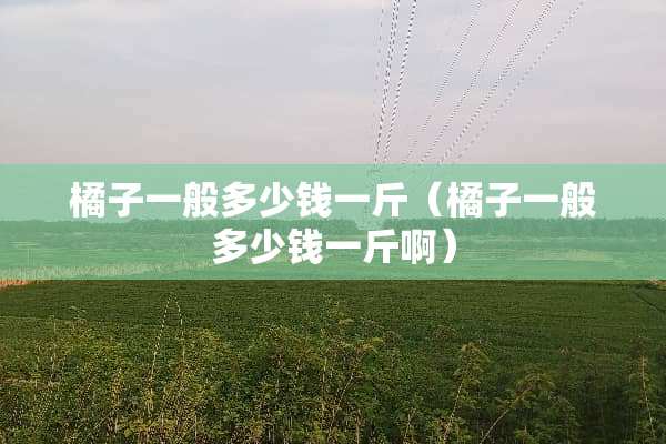 橘子一般多少钱一斤（橘子一般多少钱一斤啊）
