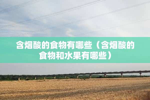 含烟酸的食物有哪些（含烟酸的食物和水果有哪些）