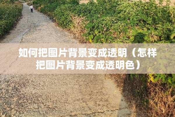 如何把图片背景变成透明（怎样把图片背景变成透明色）