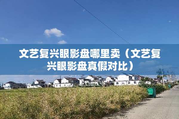 文艺复兴眼影盘哪里卖（文艺复兴眼影盘真假对比）