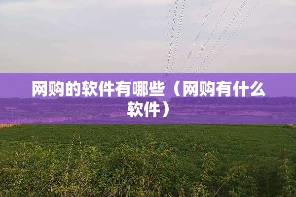 网购的软件有哪些（网购有什么软件）