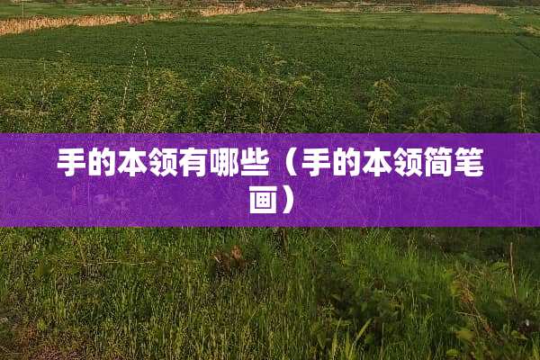手的本领有哪些（手的本领简笔画）