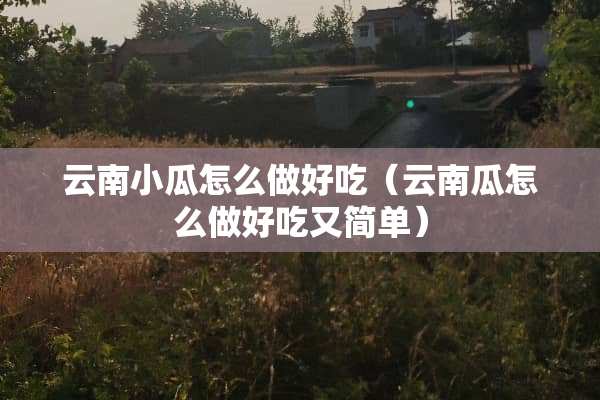 云南小瓜怎么做好吃（云南瓜怎么做好吃又简单）