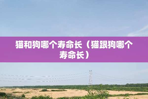 猫和狗哪个寿命长（猫跟狗哪个寿命长）