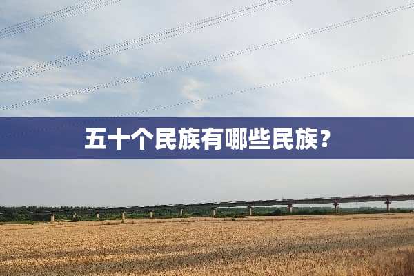 五十个民族有哪些民族？