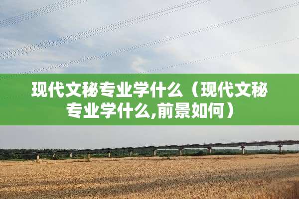 现代文秘专业学什么（现代文秘专业学什么,前景如何）