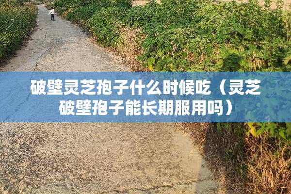 破壁灵芝孢子什么时候吃（灵芝破壁孢子能长期服用吗）