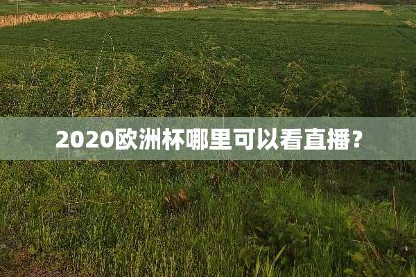 2020欧洲杯哪里可以看直播？