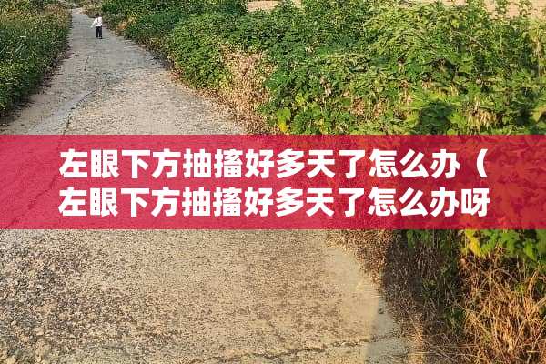 左眼下方抽搐好多天了怎么办（左眼下方抽搐好多天了怎么办呀）