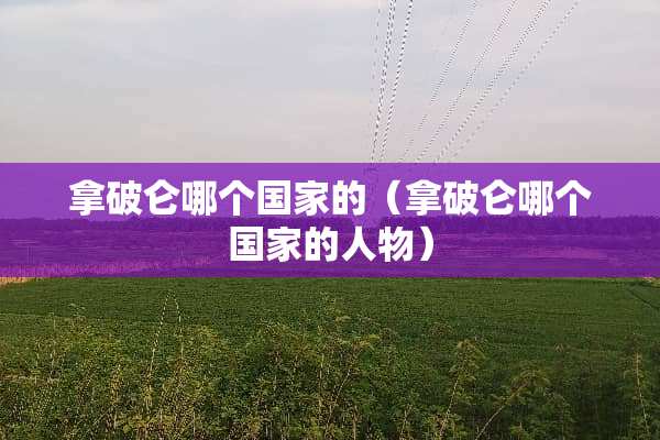 拿破仑哪个国家的（拿破仑哪个国家的人物）