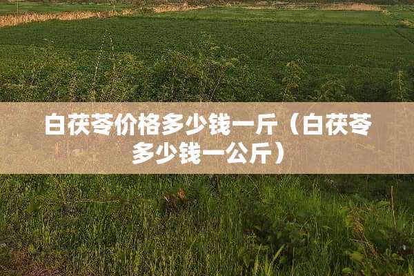白茯苓价格多少钱一斤（白茯苓多少钱一公斤）