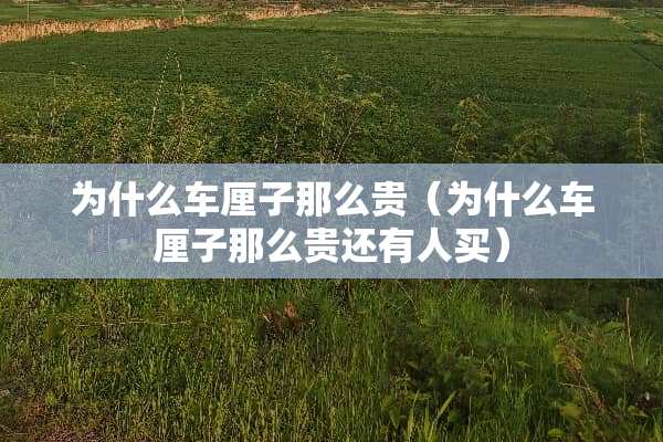 为什么车厘子那么贵（为什么车厘子那么贵还有人买）
