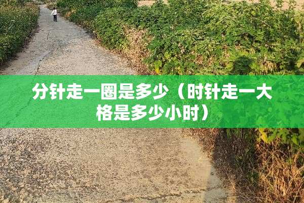 分针走一圈是多少（时针走一大格是多少小时）