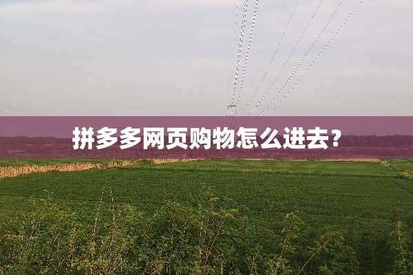 拼多多网页购物怎么进去？