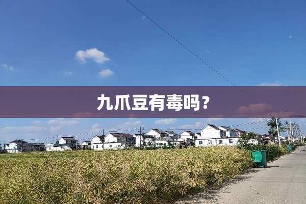 九爪豆有毒吗？