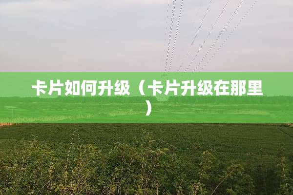 卡片如何升级（卡片升级在那里）