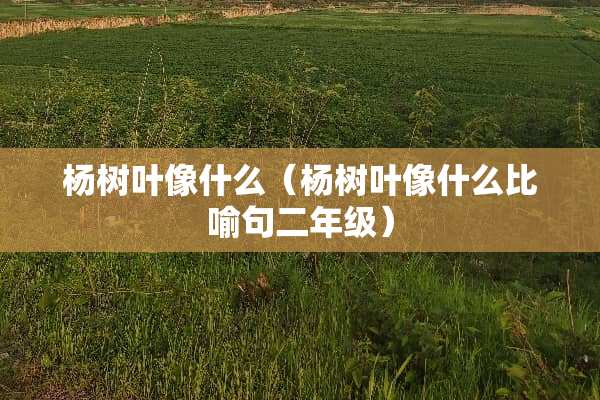 杨树叶像什么（杨树叶像什么比喻句二年级）