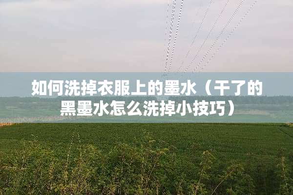如何洗掉衣服上的墨水（干了的黑墨水怎么洗掉小技巧）