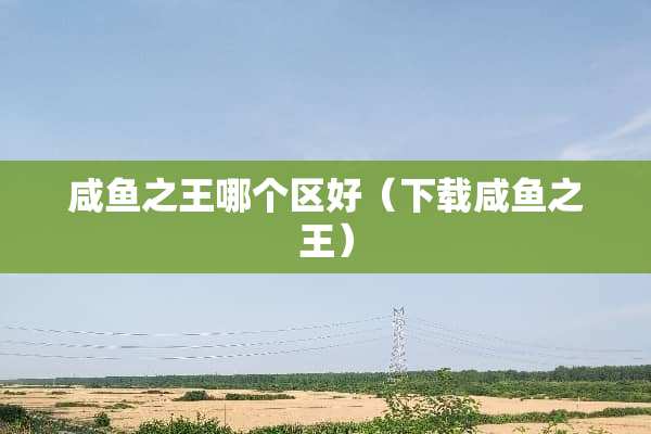 咸鱼之王哪个区好（下载咸鱼之王）