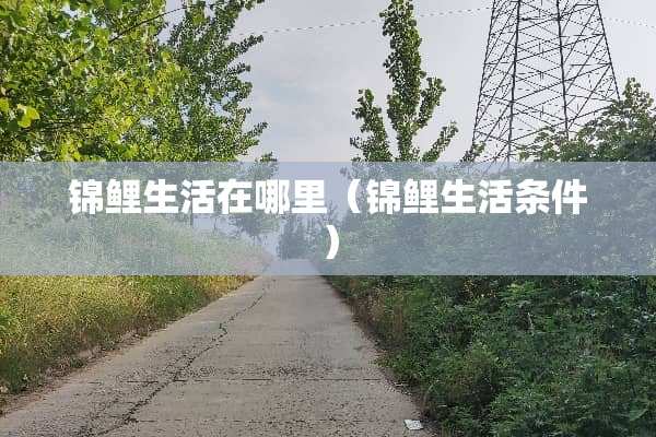 锦鲤生活在哪里（锦鲤生活条件）