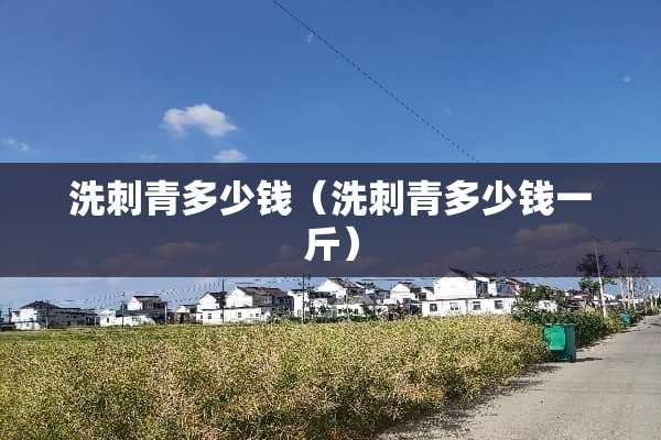 洗刺青多少钱（洗刺青多少钱一斤）