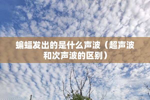 蝙蝠发出的是什么声波（***和次声波的区别）