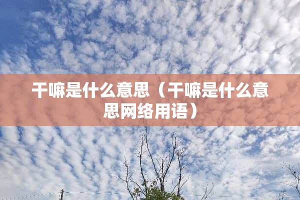 干嘛是什么意思（干嘛是什么意思网络用语）