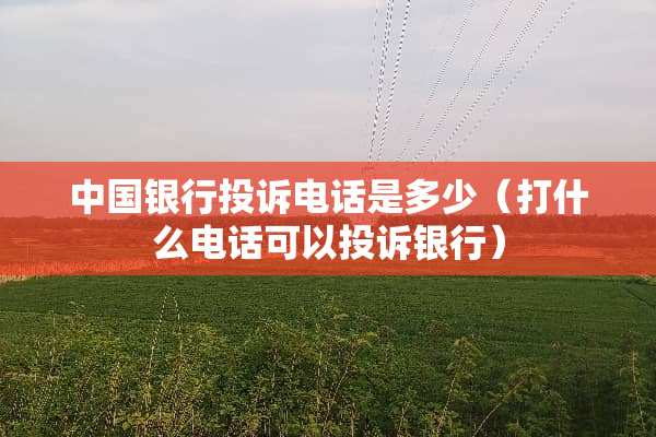 中国银行投诉电话是多少（打什么电话可以投诉银行）