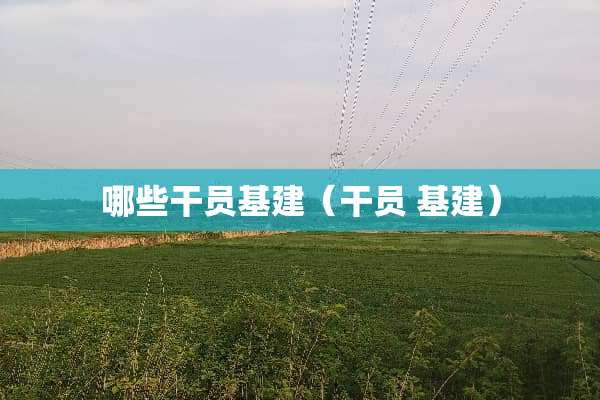 哪些干员基建（干员 基建）