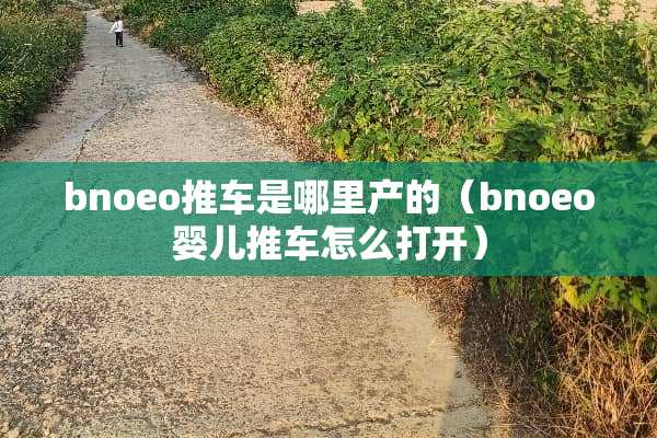 bnoeo推车是哪里产的（bnoeo婴儿推车怎么打开）