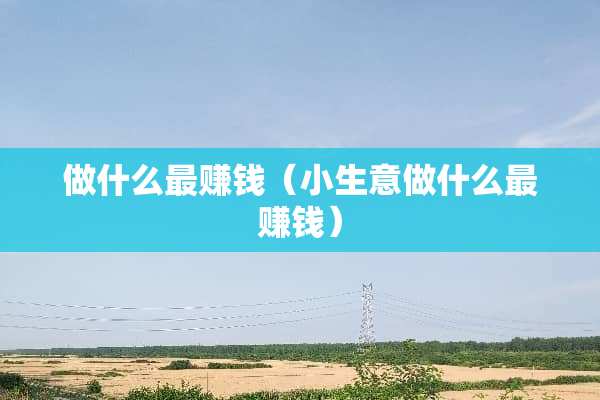 做什么最赚钱（小生意做什么最赚钱）