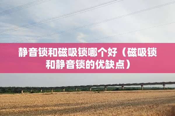 静音锁和磁吸锁哪个好（磁吸锁和静音锁的优缺点）