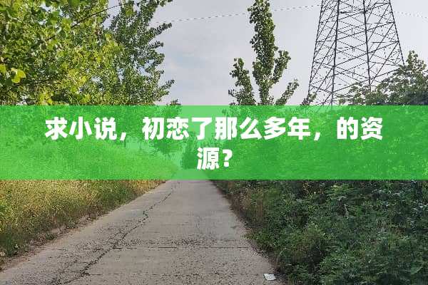 求小说，初恋了那么多年，的资源？