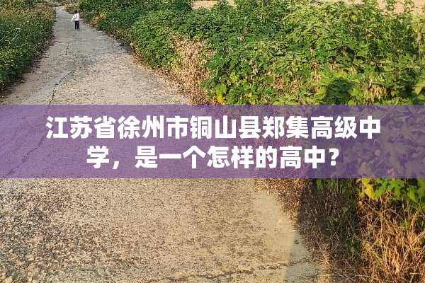 江苏省徐州市铜山县郑集高级中学，是一个怎样的高中？