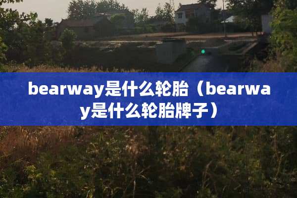 bearway是什么轮胎（bearway是什么轮胎牌子）