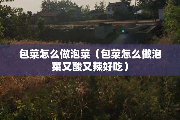 包菜怎么做泡菜（包菜怎么做泡菜又酸又辣好吃）