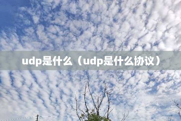 udp是什么（udp是什么协议）