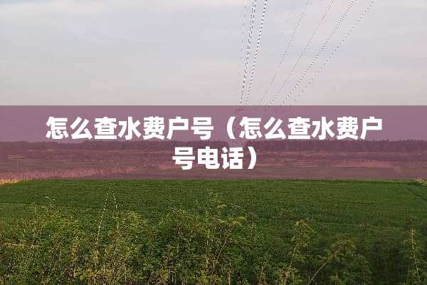 怎么查水费户号（怎么查水费户号电话）