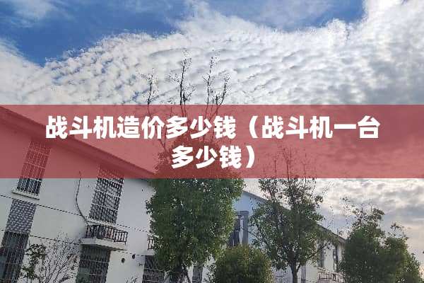 战斗机造价多少钱（战斗机一台多少钱）