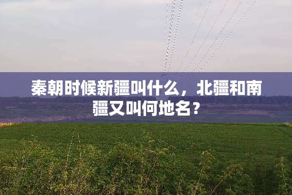 秦朝时候新疆叫什么，北疆和南疆又叫何地名？