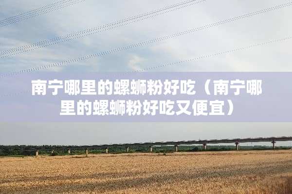 南宁哪里的螺蛳粉好吃（南宁哪里的螺蛳粉好吃又便宜）