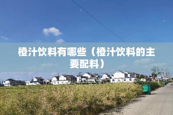 橙汁饮料有哪些（橙汁饮料的主要配料）
