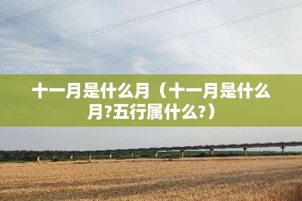 十一月是什么月（十一月是什么月?五行属什么?）
