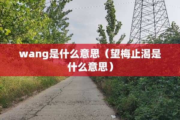 wang是什么意思（望梅止渴是什么意思）
