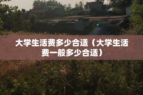 大学生活费多少合适（大学生活费一般多少合适）