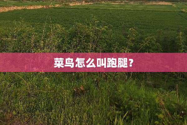 菜鸟怎么叫跑腿？